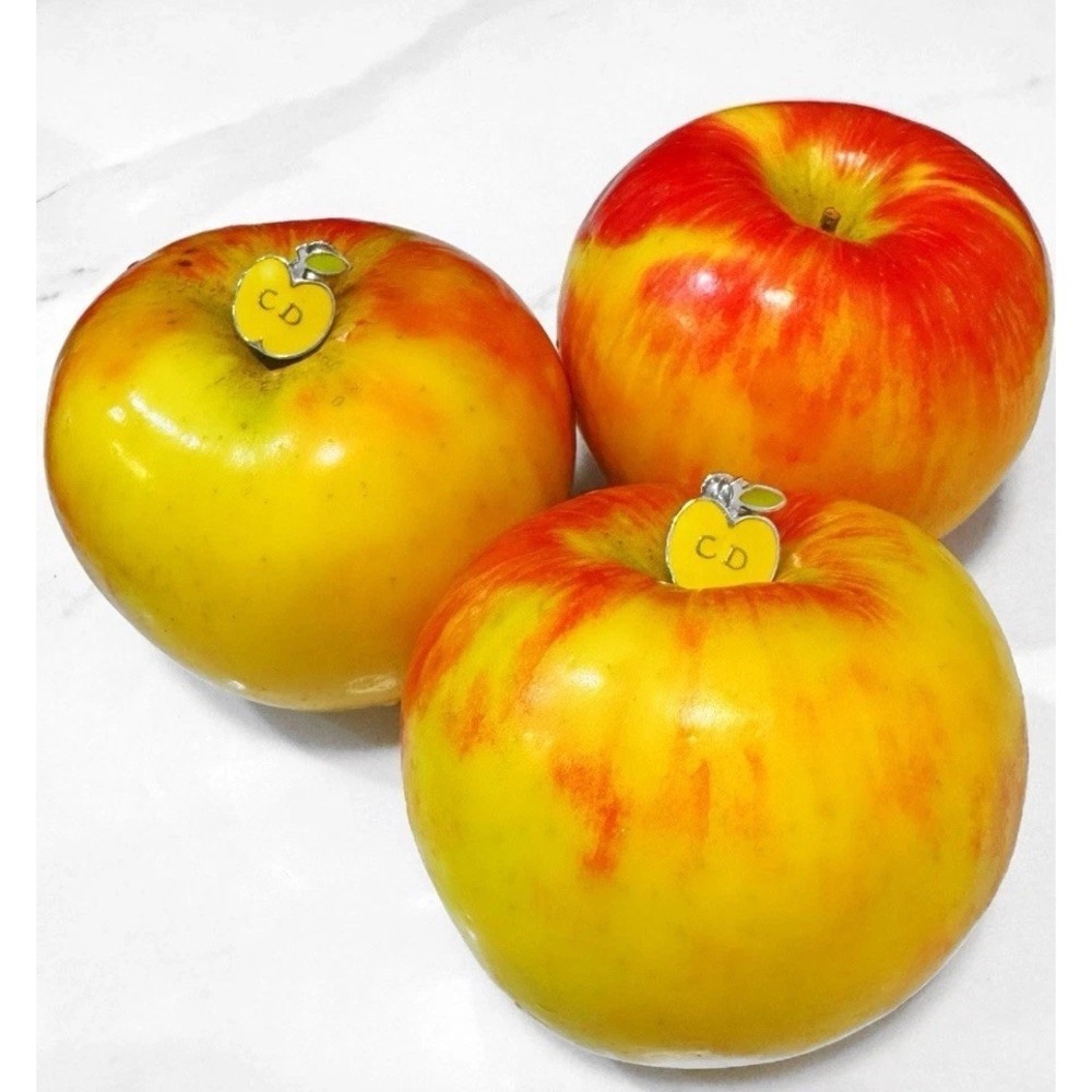 Christian Dior Apple Earrings